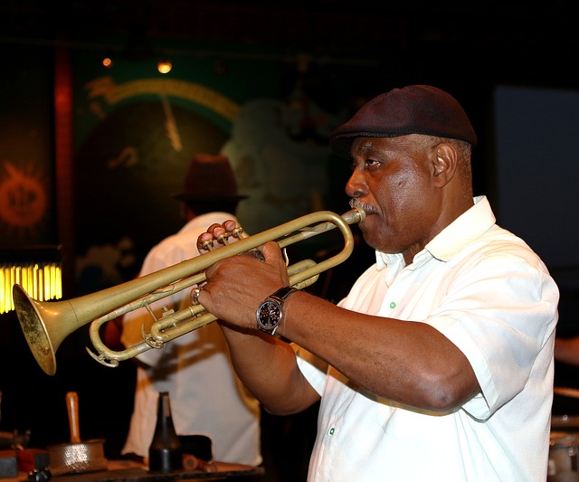 trumpeter-2537638_640.jpg